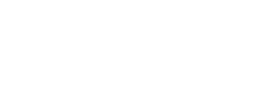 BOURBON-ISOLATION-logo-blanc robin isolation logo